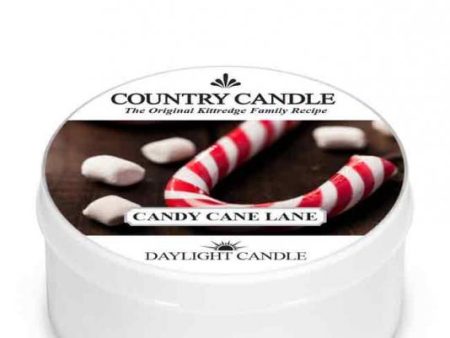 Daylight świeczka zapachowa Candy Cane Lane 42g Online Sale